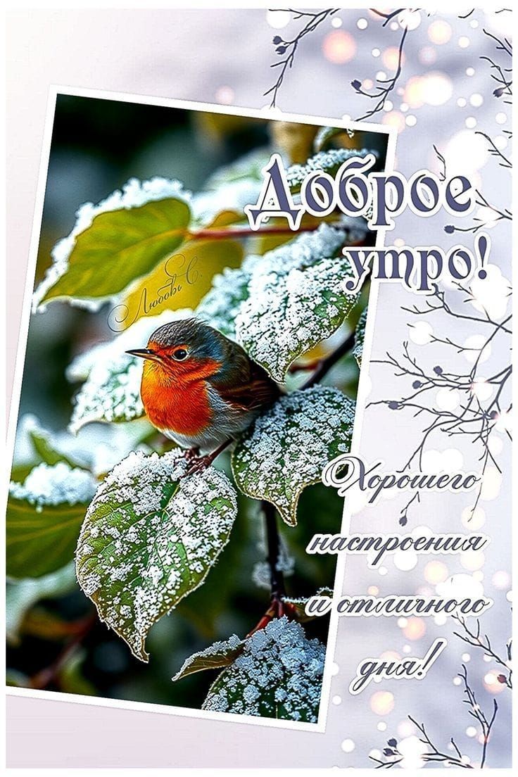 Доброе утро! Хорошего настроения и отличного дня!