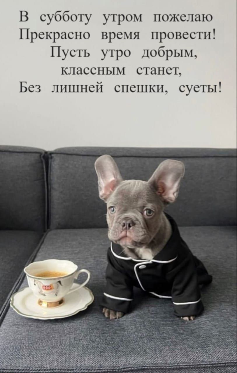 В субботу утром пожелаю Прекрасно время провести! Пусть утро добрым, классным станет, Без лишней спешки, суеты!