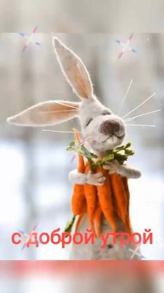 С доброй утрой