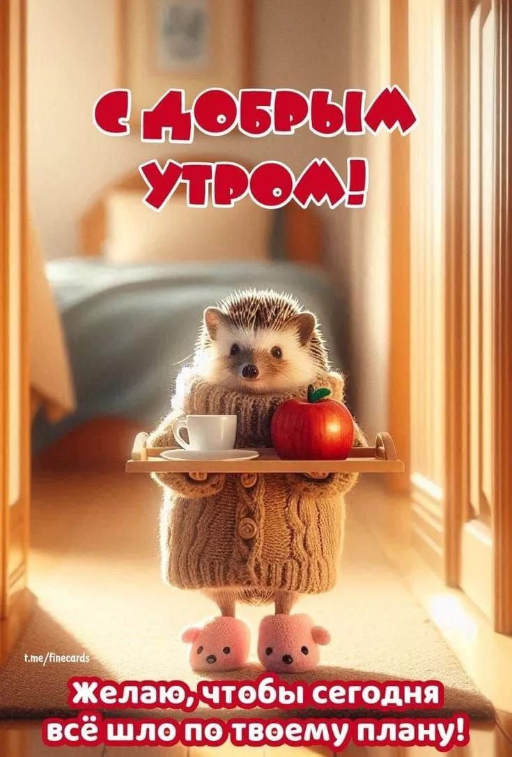 С ДОБРЫМ УТРОМ! Желаю, чтобы сегодня всё шло по твоему плану!