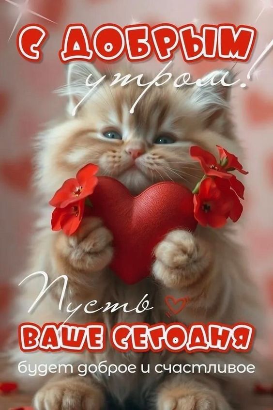 С добрым утром! Пусть ваше сегодня будет доброе и счастливое