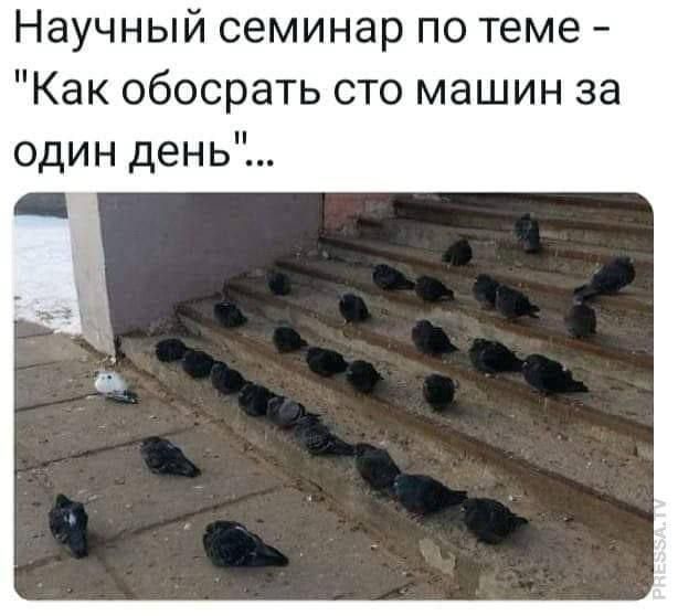 Научный семинар по теме - 