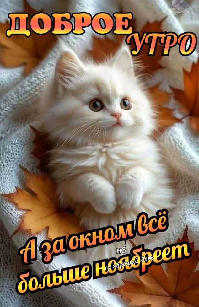 ДОБРОЕ УТРО
А за окном всё больше новостей