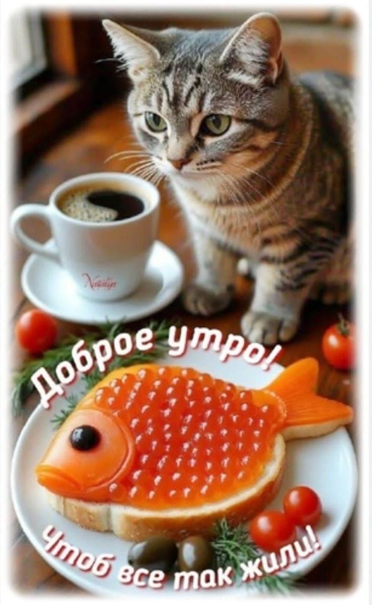 Доброе утро! Чтобы все так жили!