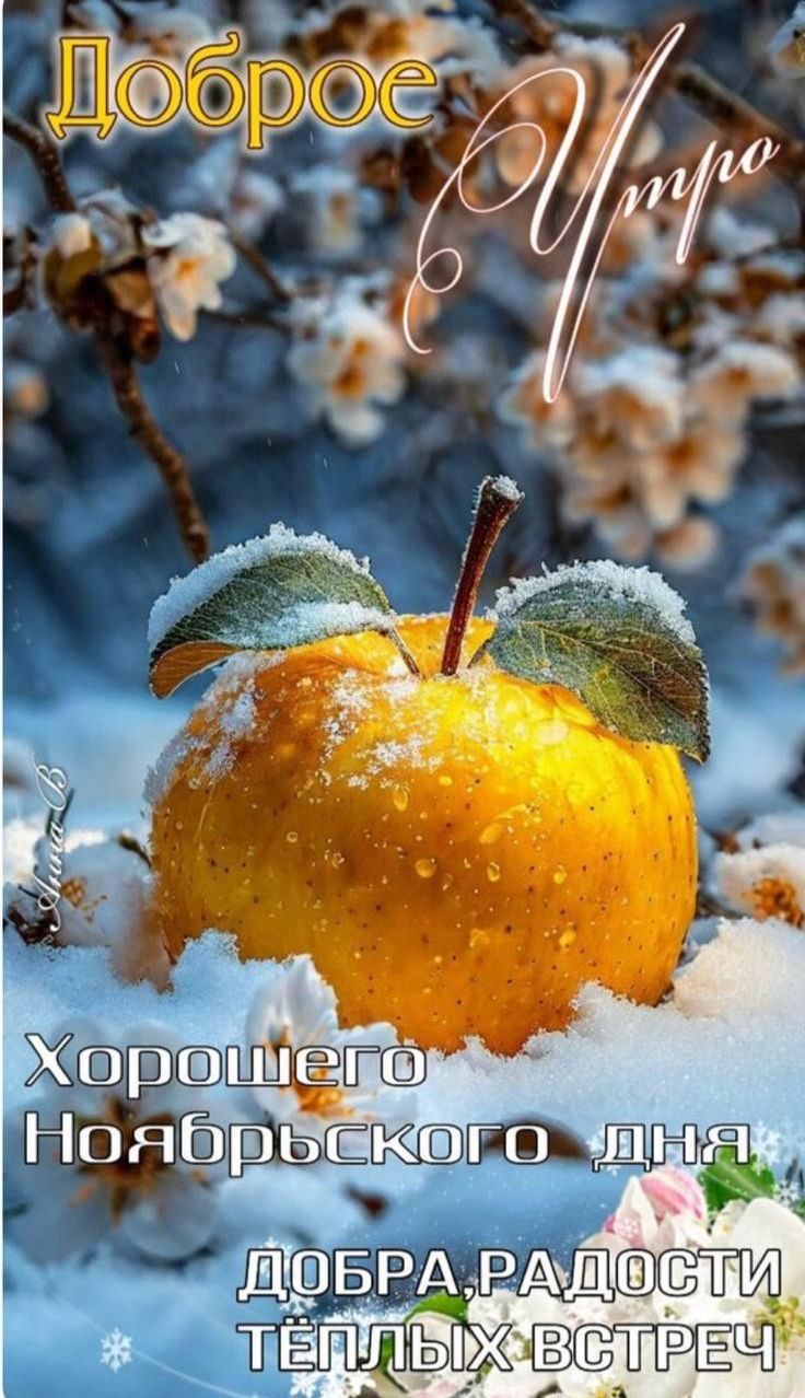 Доброе утро. Хорошего ноябрьского дня. Добра, радости, тёплых встреч.