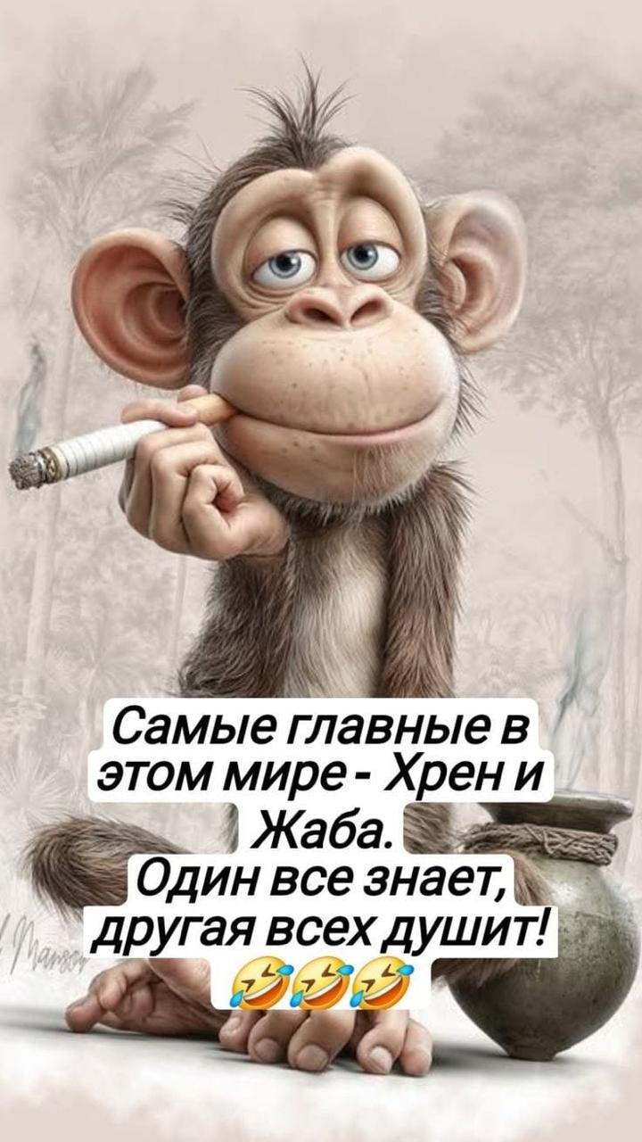 Самые главные в этом мире - Хрен и Жаба. Один всё знает, другая всех душит!