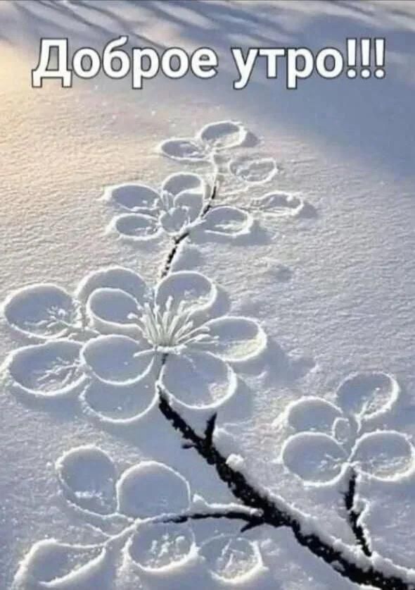 Доброе утро!!!