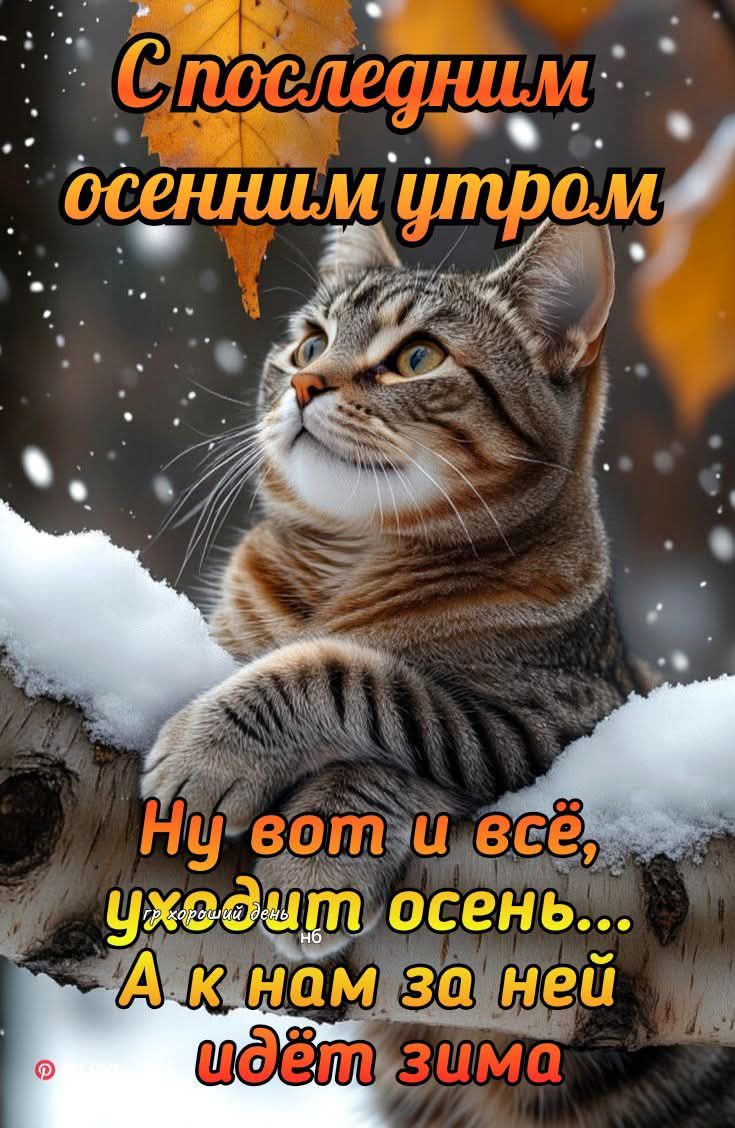 С последним осенним утром Ну вот и всё, уйдет осень... А к нам за ней идёт зима