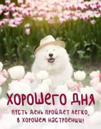 хорошего дня
пусть день пройдет легко, в хорошем настроении!