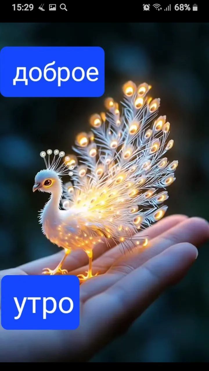 доброе утро