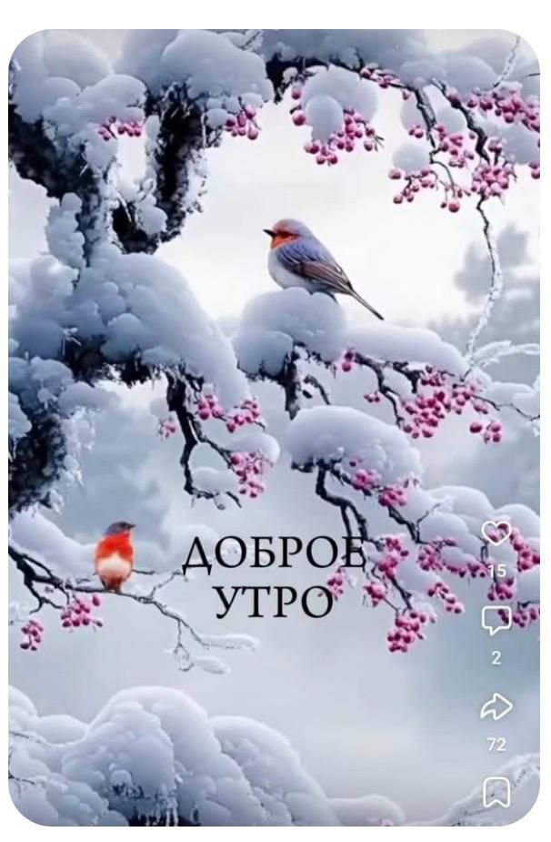 ДОБРОЕ УТРО