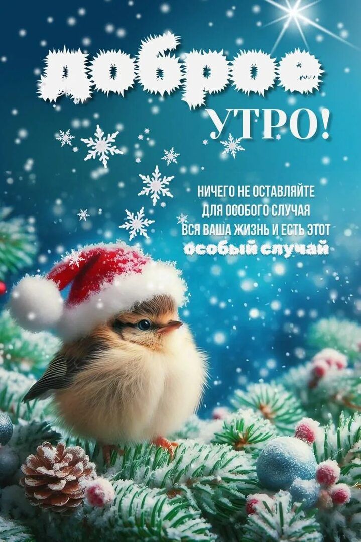 Доброе утро! Ничего не оставляйте для особого случая — вся ваша жизнь и есть этот особый случай