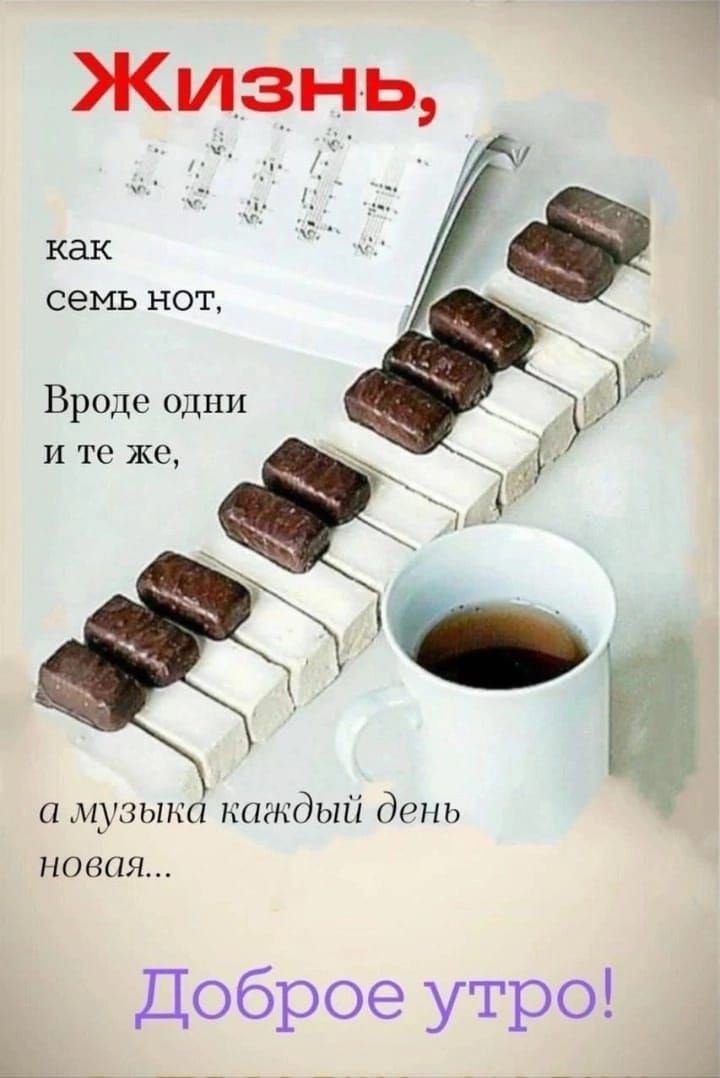 Жизнь, как семь нот, Вроде одни и те же, а музыка каждый день новая... Доброе утро!