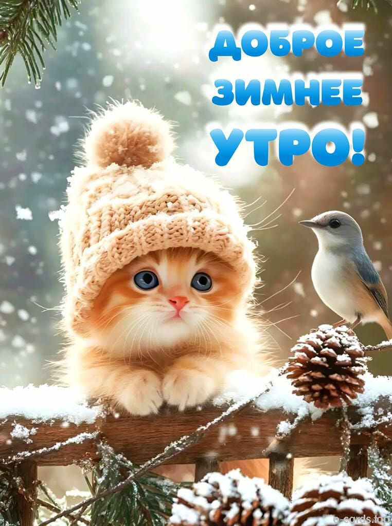 Доброе зимнее утро!