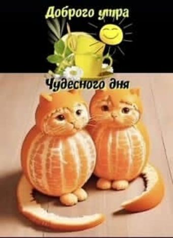 Доброго утра
Чудесного дня