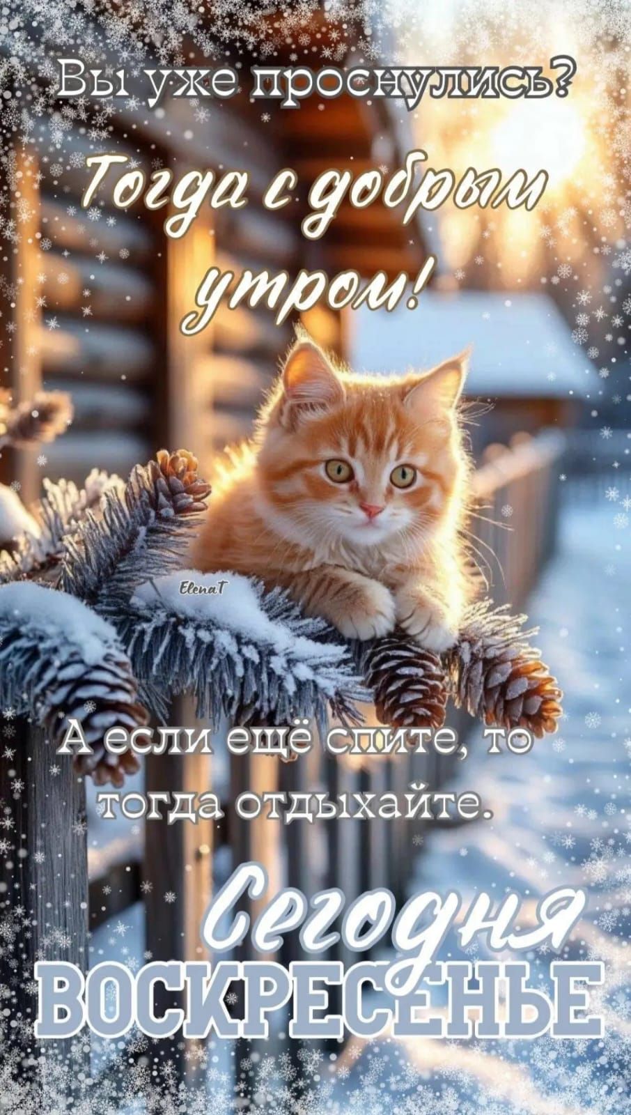 Вы уже проснулись? Тогда с добрым утром! А если ещё спите, то тогда отдыхайте. Сегодня воскресенье