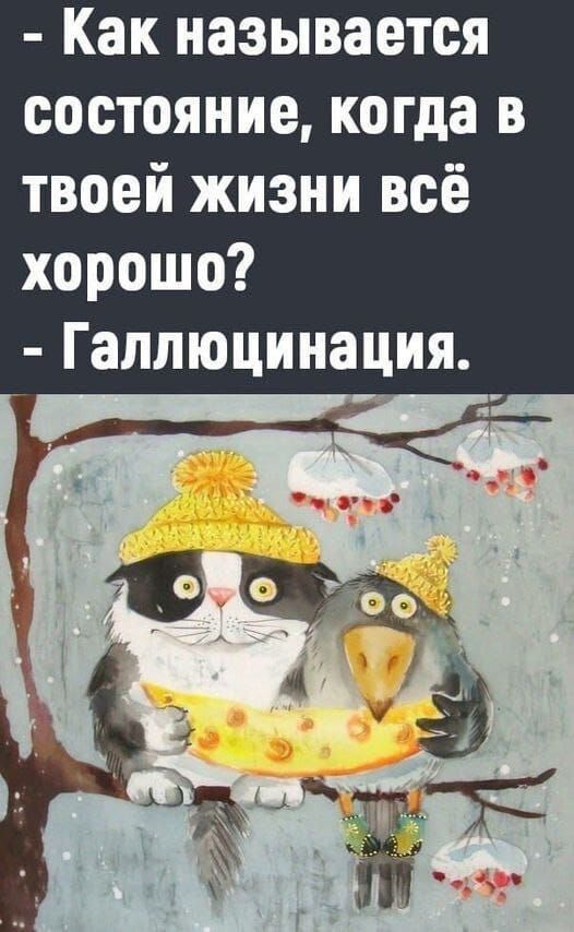 Как называется состояние, когда в твоей жизни всё хорошо? - Галлюцинация.