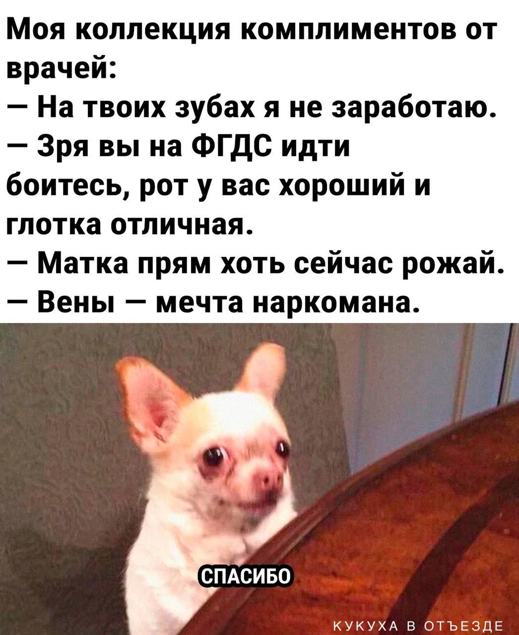 Моя коллекция комплиментов от врача: — На твоих зубах я не заработаю. — Зря вы на ФГДС идти боитесь, рот у вас хороший и глотка отличная. — Матка прям хоть сейчас рожай. — Вены — мечта наркомана. СПАСИБО