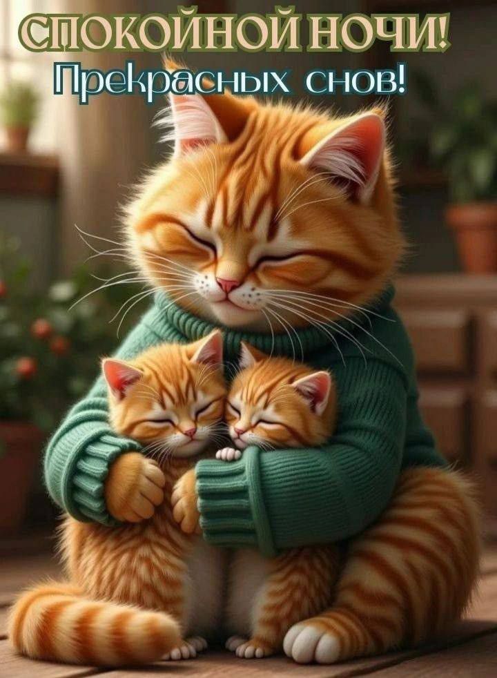 СПОКОЙНОЙ НОЧИ! Прекрасных снов!