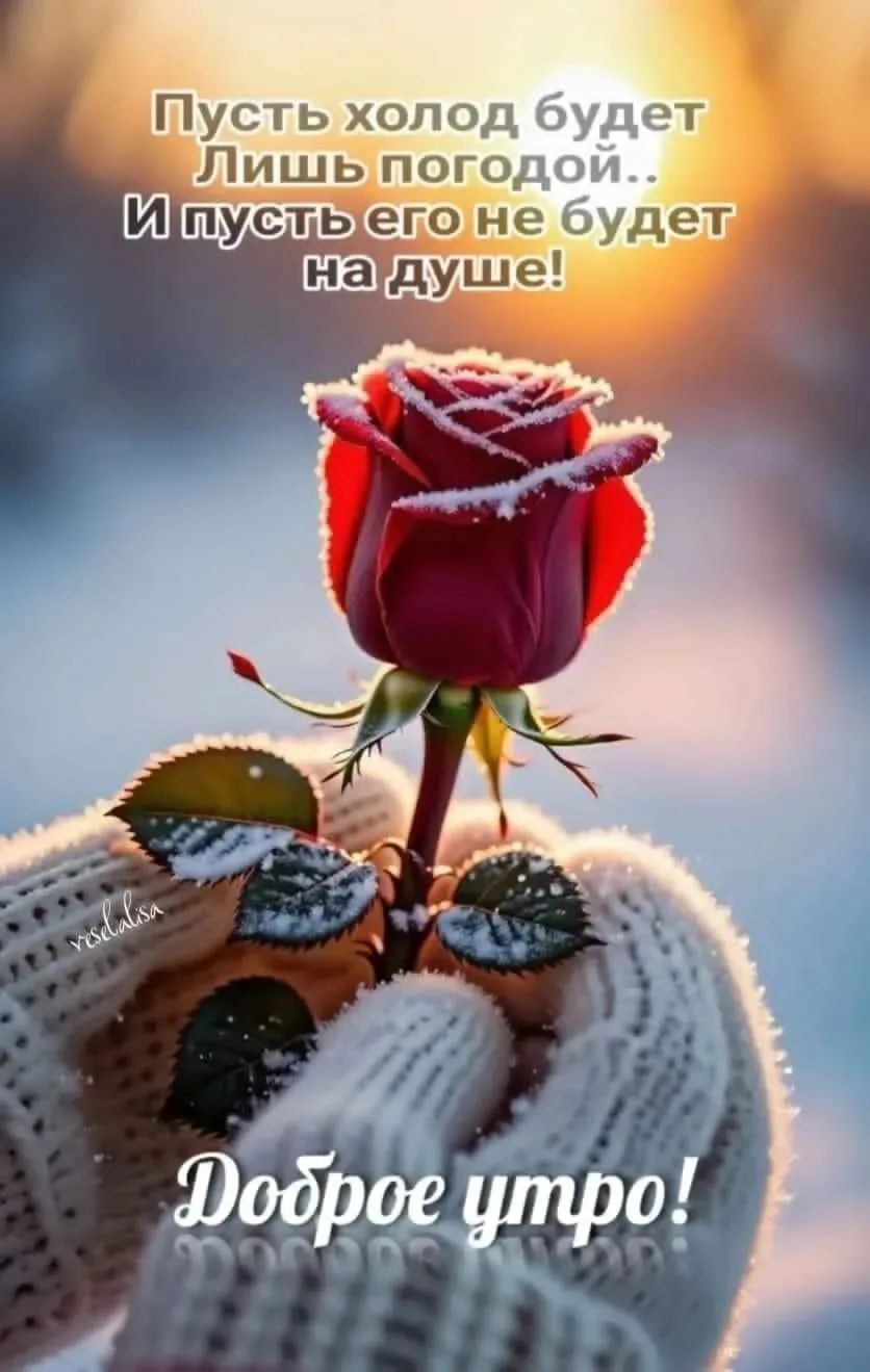 Пусть холод будет Лишь погодой..
И пусть его не будет на душе!

Доброе утро!
