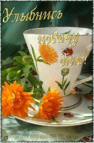 Улыбнись новому дню!