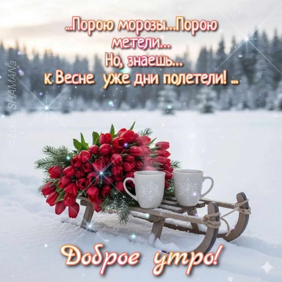 Порою морозы...Порою метели... Но, знаешь... к Весне уже дни полетели ! Доброе утро!