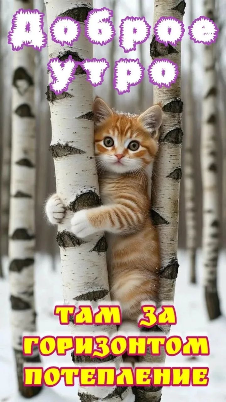 Доброе утро там за горизонтом потепление