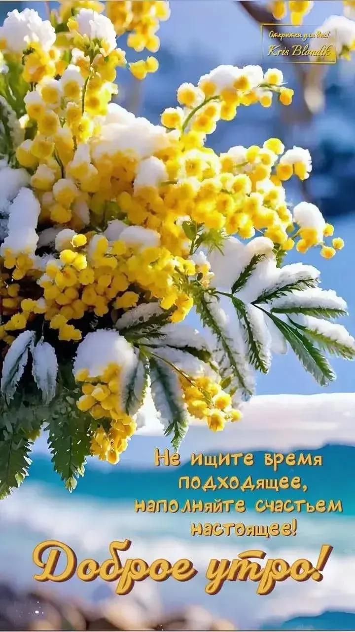 Не ищите время подходящее, наполняйте счастьем настоящего! Доброе утро!