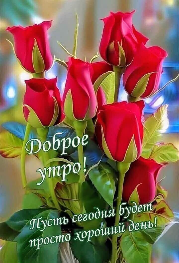 Доброе утро! Пусть сегодня будет просто хороший день!