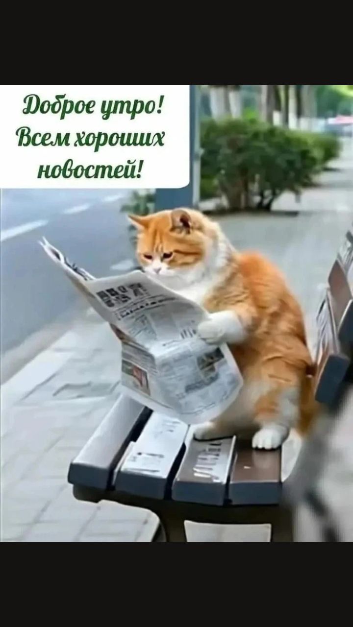 Доброе утро! Всем хороших новостей!