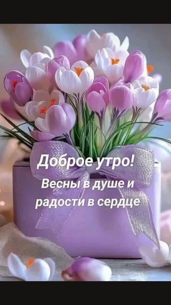Доброе утро! Весны в душе и радости в сердце