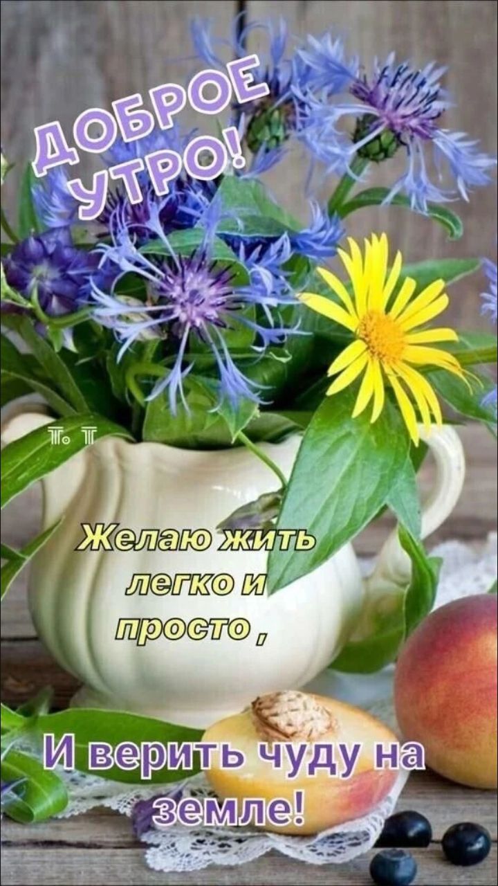 ДОБРОЕ УТРО! Желаю жить легко и просто, И верить чуду на земле!