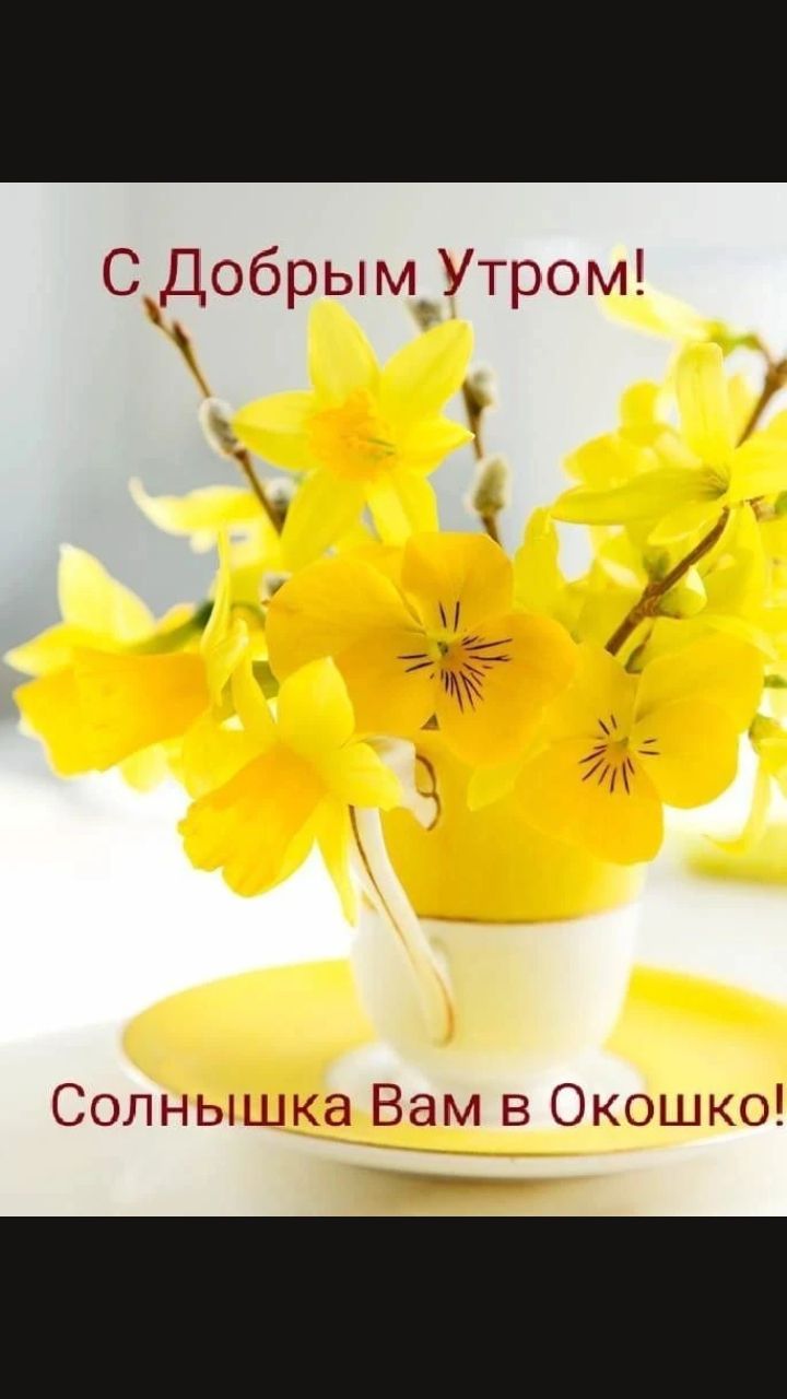 С Добрым Утром! Солнышка Вам в Окошко!