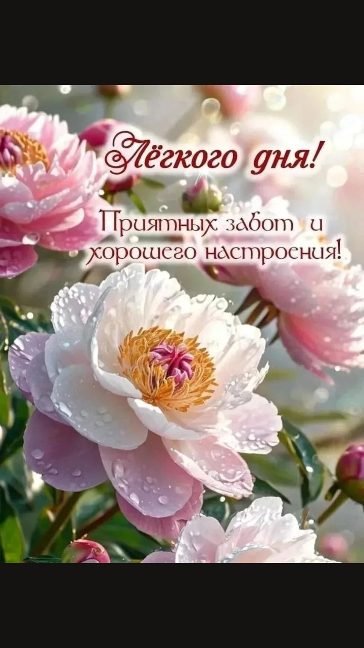 Лёгкого дня! Приятных забот и хорошего настроения!