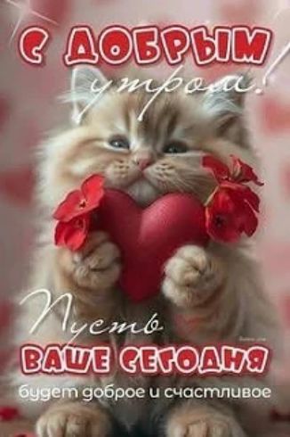 С добрым утром! Пусть ваше сегодня будет доброе и счастливое