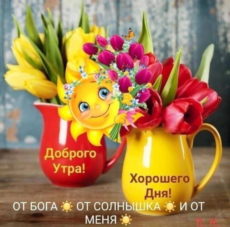 Доброго Утра! Хорошего Дня! ОТ БОГА ☀️ ОТ СОЛНЫШКА ☀️ И ОТ МЕНЯ ☀️