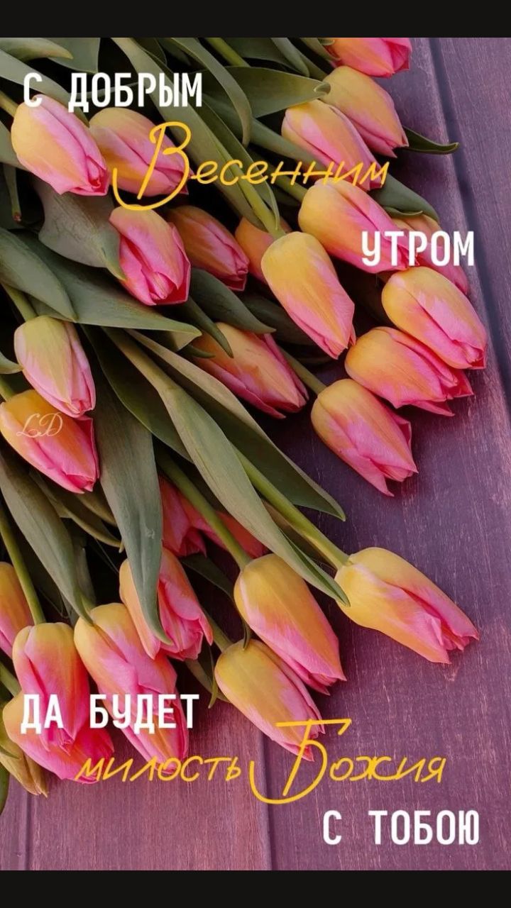 С добрым весенним утром. Да будет милость Божия с тобою.
