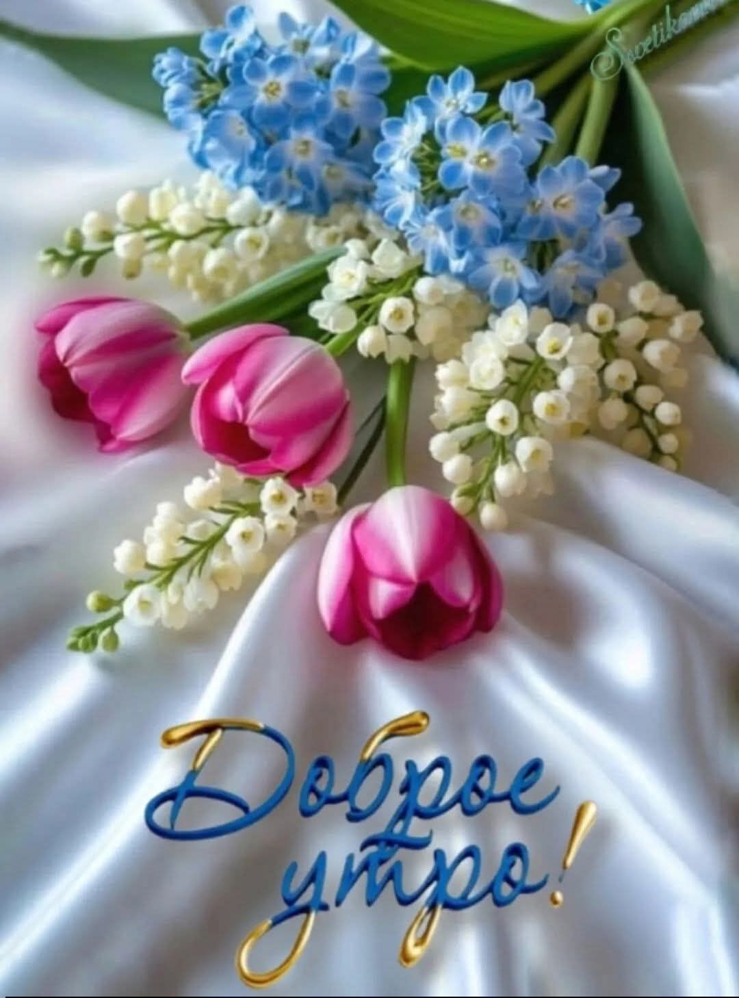 Доброе утро!
