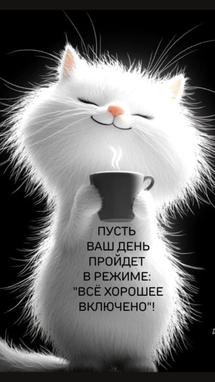 ПУСТЬ ВАШ ДЕНЬ ПРОЙДЕТ В РЕЖИМЕ: 