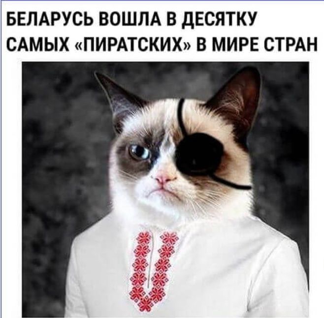 БЕЛАРУСЬ ВОШЛА В ДЕСЯТКУ САМЫХ ПИРАТСКИХ В МИРЕ СТРАН