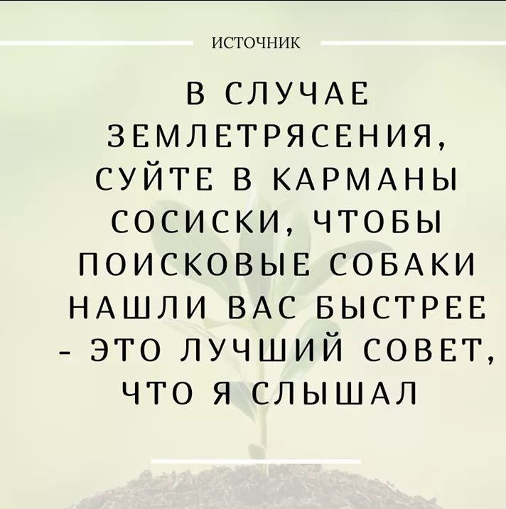 ИСТОЧНИК В СЛУЧАЕ 3ЕМЛЕТРЯСЕНИЯ СУЙТЕ В КАРМАНЫ СОСИСКИ ЧТОБЫ ПОИСКОВЫЕ СОБАКИ НАШЛИ ВАС БЫСТРЕЕ ЭТО ЛУЧШИЙ СОВЕТ ЧТО Я СЛЫШАЛ