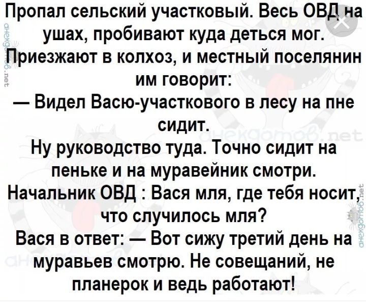 Пропал сельский участковый Весь ОВД на ушах пробивают куда деться мог Приезжают в колхоз и местный поселянин им говорит Видел Васю участкового в лесу на пне сидит Ну руководство туда Точно сидит на пеньке и на муравейник смотри Начальник ОВД Вася мля где тебя носит что случилось мля Вася в ответ Вот сижу третий день на муравьев смотрю Не совещаний не ппанерок и ведь работают