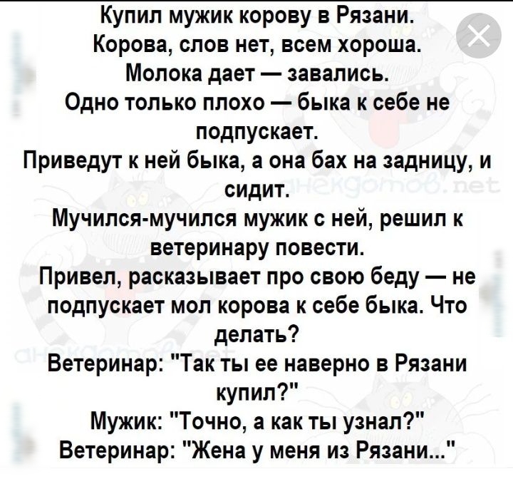 Купил мужик корову в Рязани Корова слов нет всем хороша Молока дает завались Одно только плохо быка к себе не подпускает Приведут к ней быка а она бах на задницу и сидит Мучился мучился мужик с ней решил к ветеринару повести Привел расказывает про свою беду не подпускает мол корова к себе быка Что делать Ветеринар Так ты ее наверно в Рязани купил Мужик Точно а как ты узнал Ветеринар Жена у меня из