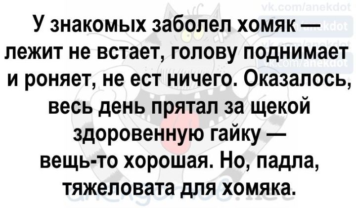 У знакомых заболел хомяк лежит не встает голову поднимает и роняет не ест ничего Оказалось весь день прятал за щекой здоровенную гайку вещь то хорошая Но падла тяжеловата для хомяка