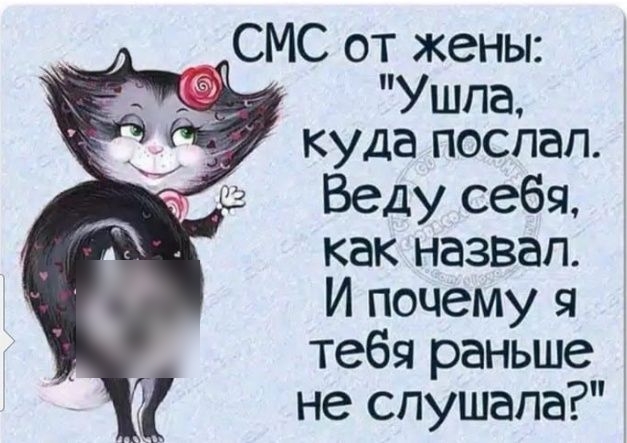 СМС от жены Ушла куда поспал Веду себя как назвал И почему я тебя раньше не слушала