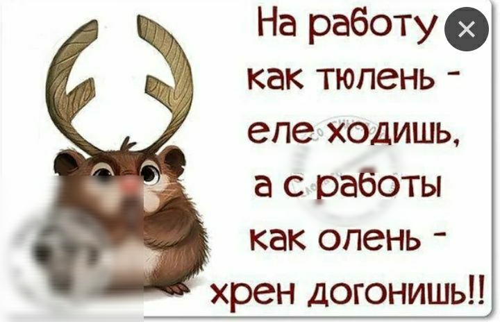 На работу как тюлень епеходишь а с работы как опень хрен догонишь