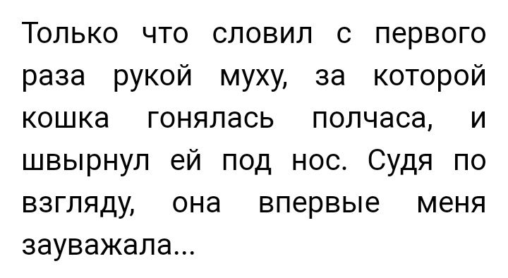 Только что словил с первого раза рукой муху за которой кошка гонялась полчаса и швырнул ей под нос Судя по взгляду она впервые меня зауважала