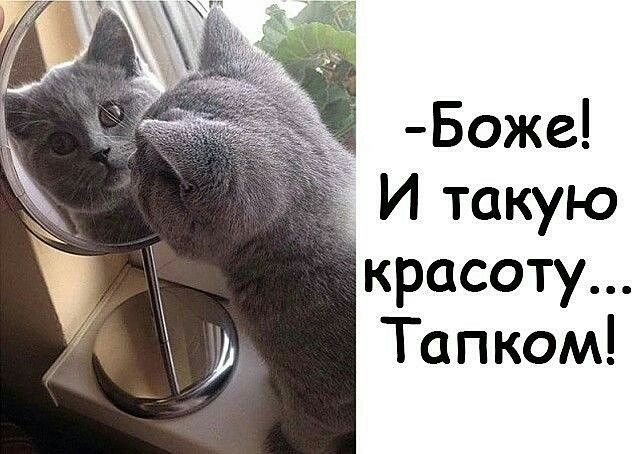 Боже И такую красоту Тапком