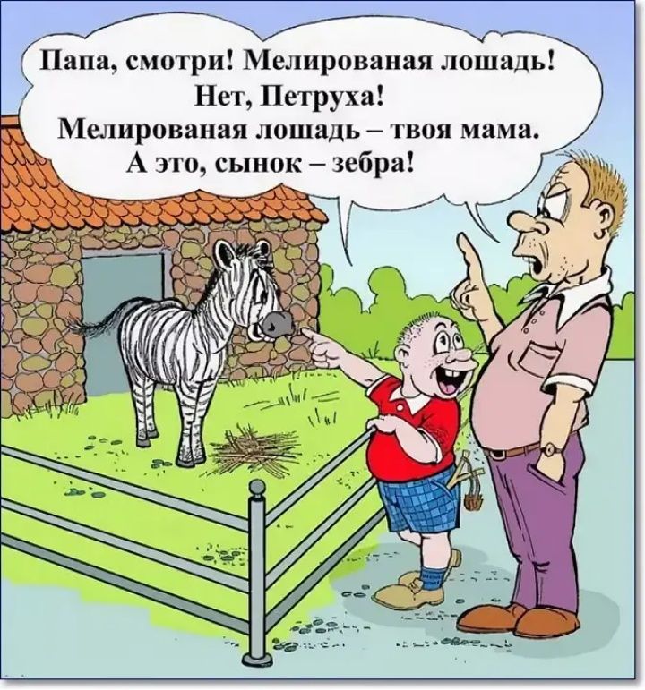 Папа смотри Мелированая лошадь Нет Петруха Мелировапая лошадь твоя мама