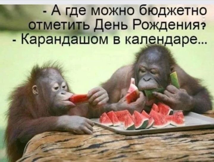 Агде можно бюджетно жень Рожденияэ м в кап